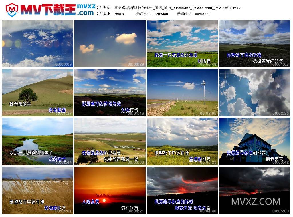 曹芙嘉-赛汗塔拉的忧伤_国语_流行_YE500467